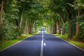 Godrej Samaris property thumbnail 6